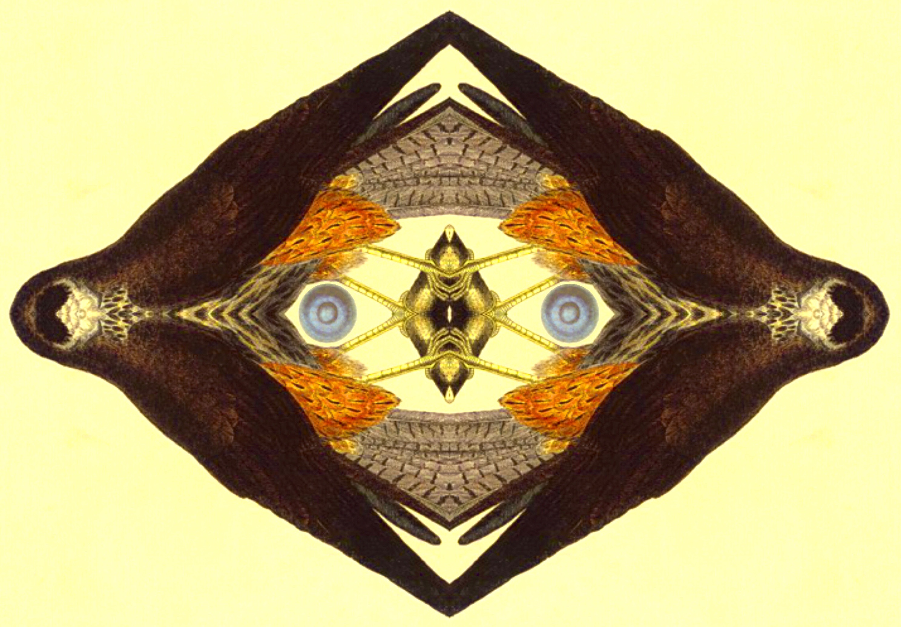 psychedelic mirrored hawks